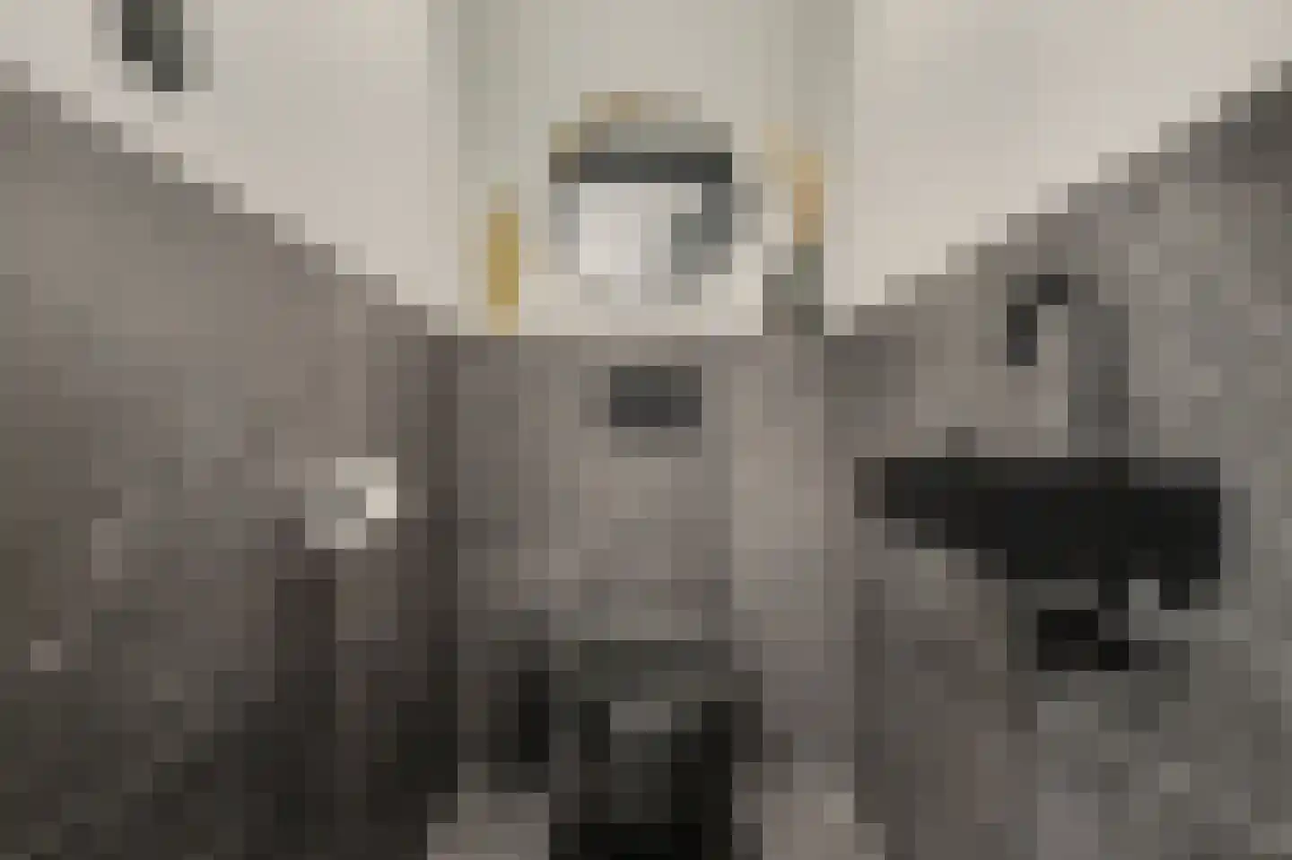 De Klok 526 Rijnsburg thumbnail 32