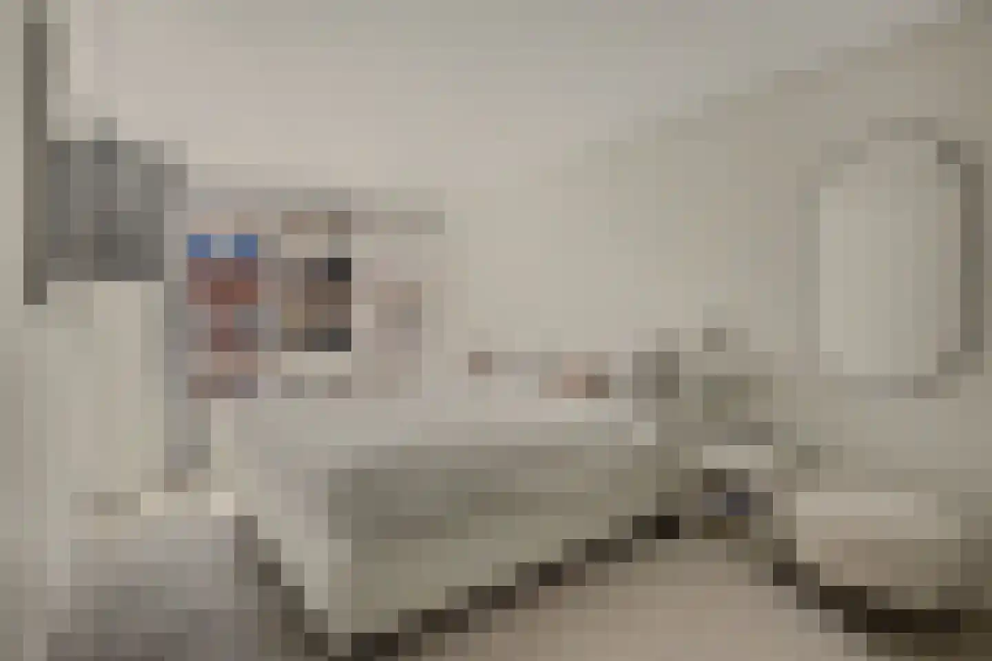 De Klok 526 Rijnsburg thumbnail 4