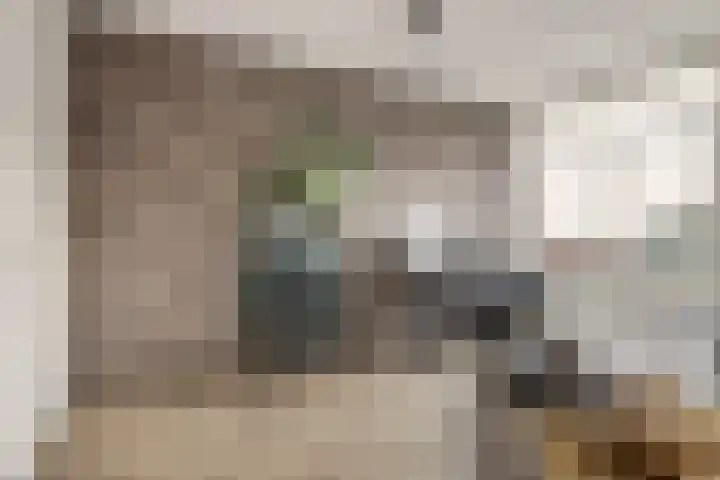 De Klok 528 Rijnsburg thumbnail 22