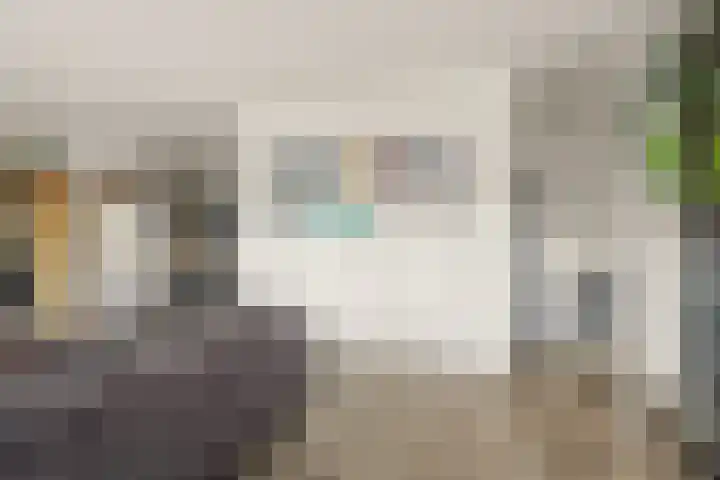 De Klok 528 Rijnsburg thumbnail 23
