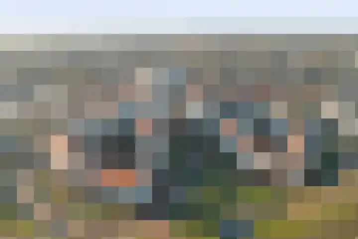 De Klok 528 Rijnsburg thumbnail 49
