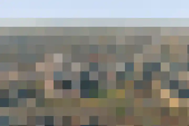 De Klok 528 Rijnsburg thumbnail 50