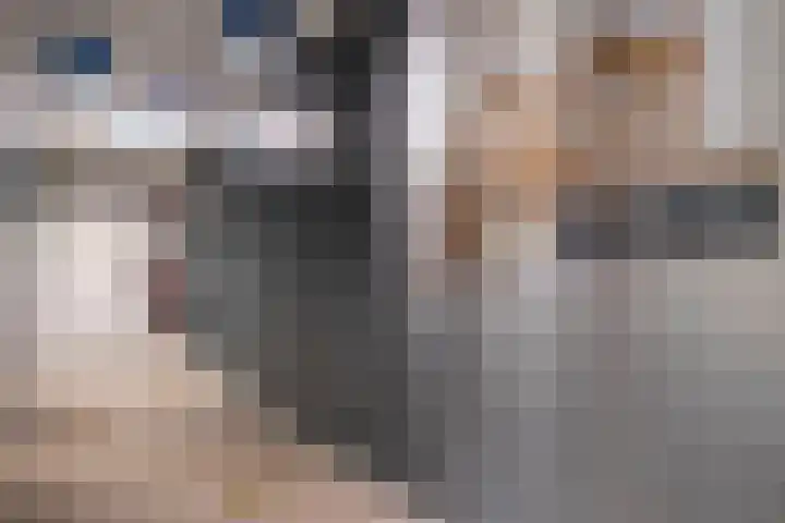 De Klok 528 Rijnsburg thumbnail 51