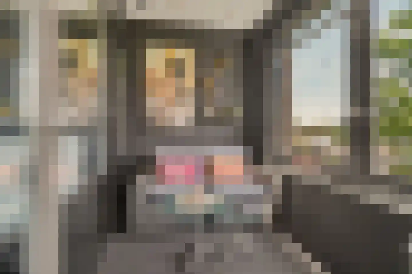 De Klok 54 Vlijmen thumbnail 9