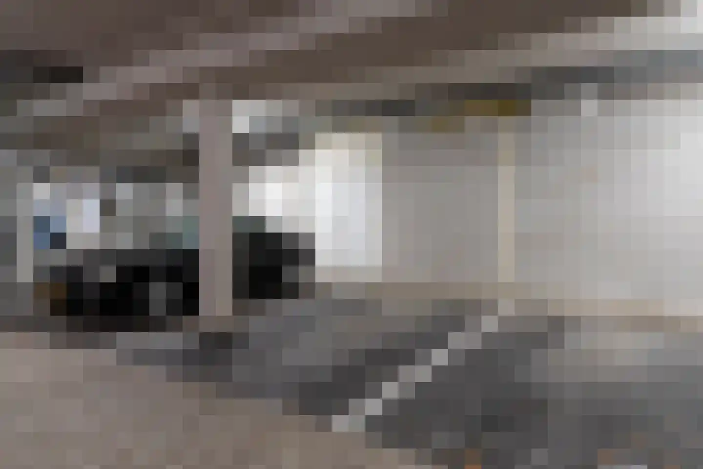 De Klok 542 Rijnsburg thumbnail 29