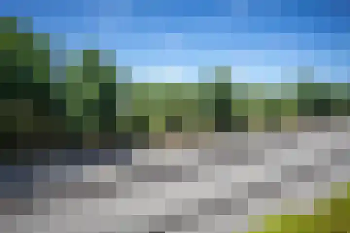 De Klok 76 Vlijmen thumbnail 12