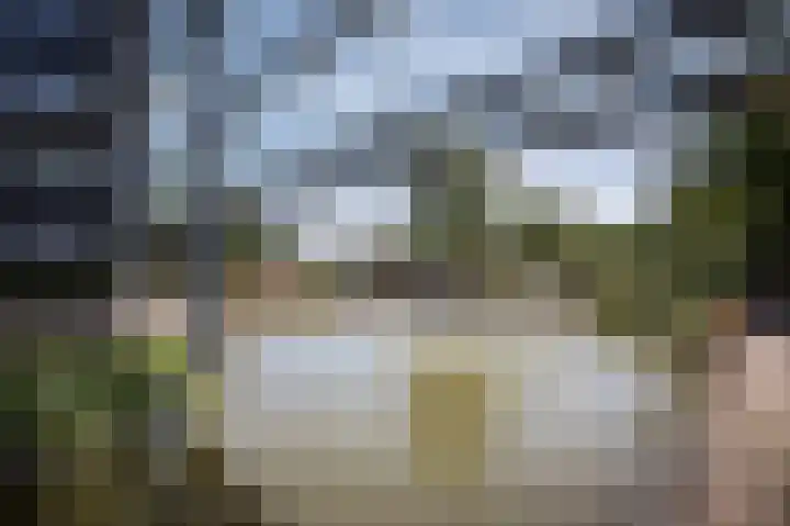 De Klok 76 Vlijmen thumbnail 19