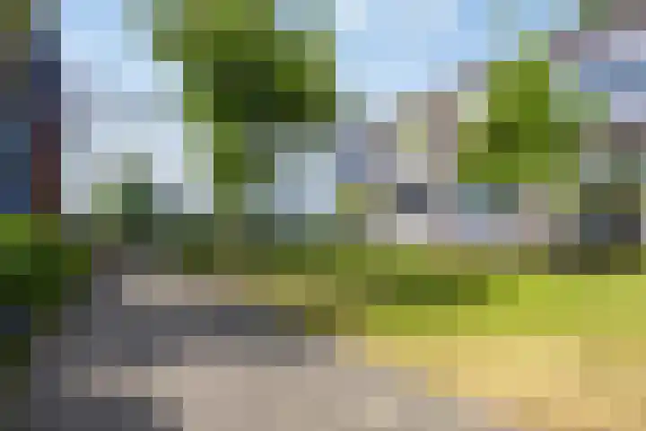 De Klok 84 Vlijmen thumbnail 18