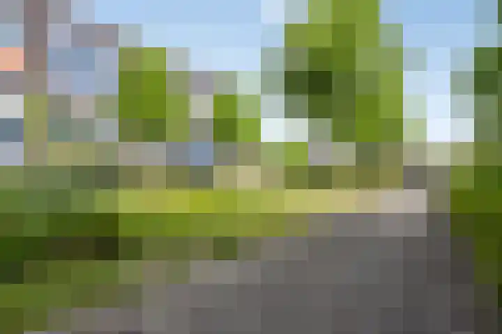 De Klok 84 Vlijmen thumbnail 19