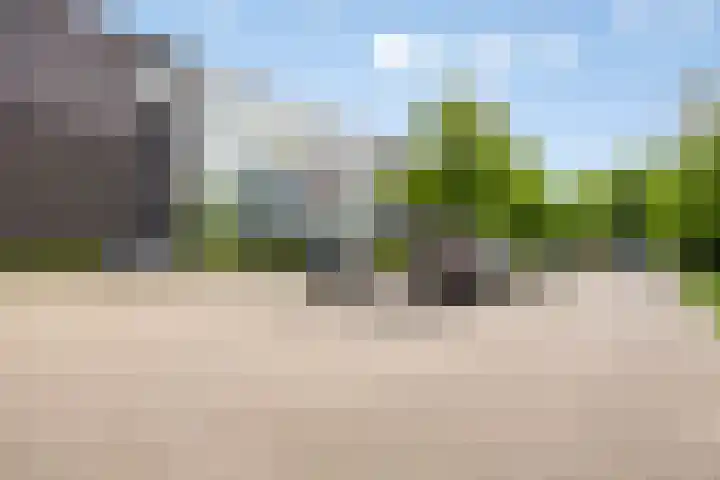 De Klok 84 Vlijmen thumbnail 21