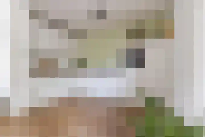 De Klokkenmaker 42 Veldhoven thumbnail 15