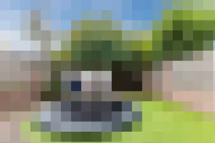 De Klokkenmaker 42 Veldhoven thumbnail 38