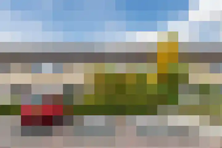 De Klokkenmaker 42 Veldhoven thumbnail 41