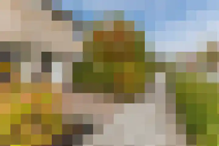 De Klokkenmaker 42 Veldhoven thumbnail 5