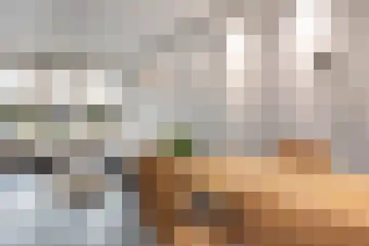 De Klokkenmaker 46 Veldhoven thumbnail 10