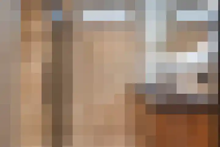 De Klokkenmaker 46 Veldhoven thumbnail 20