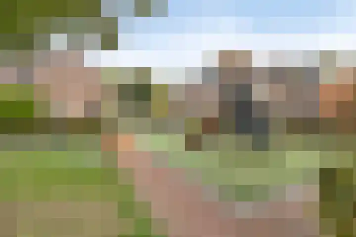De Klokkenmaker 46 Veldhoven thumbnail 37