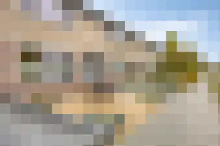 De Klokkenmaker 46 Veldhoven thumbnail 41