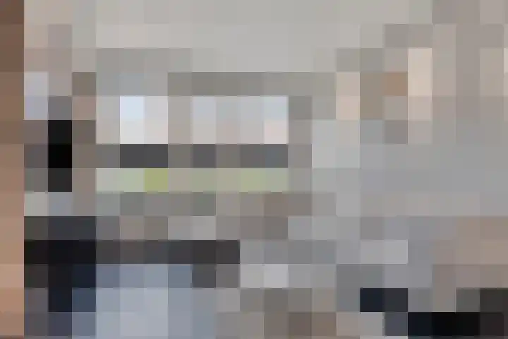 De Klokkenmaker 46 Veldhoven thumbnail 7