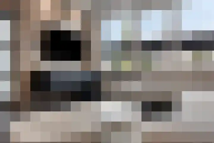 De Klokkenmaker 46 Veldhoven thumbnail 8