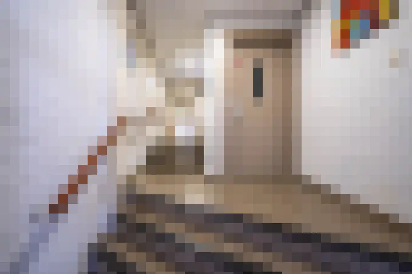 De Klomp 24 Enschede thumbnail 5