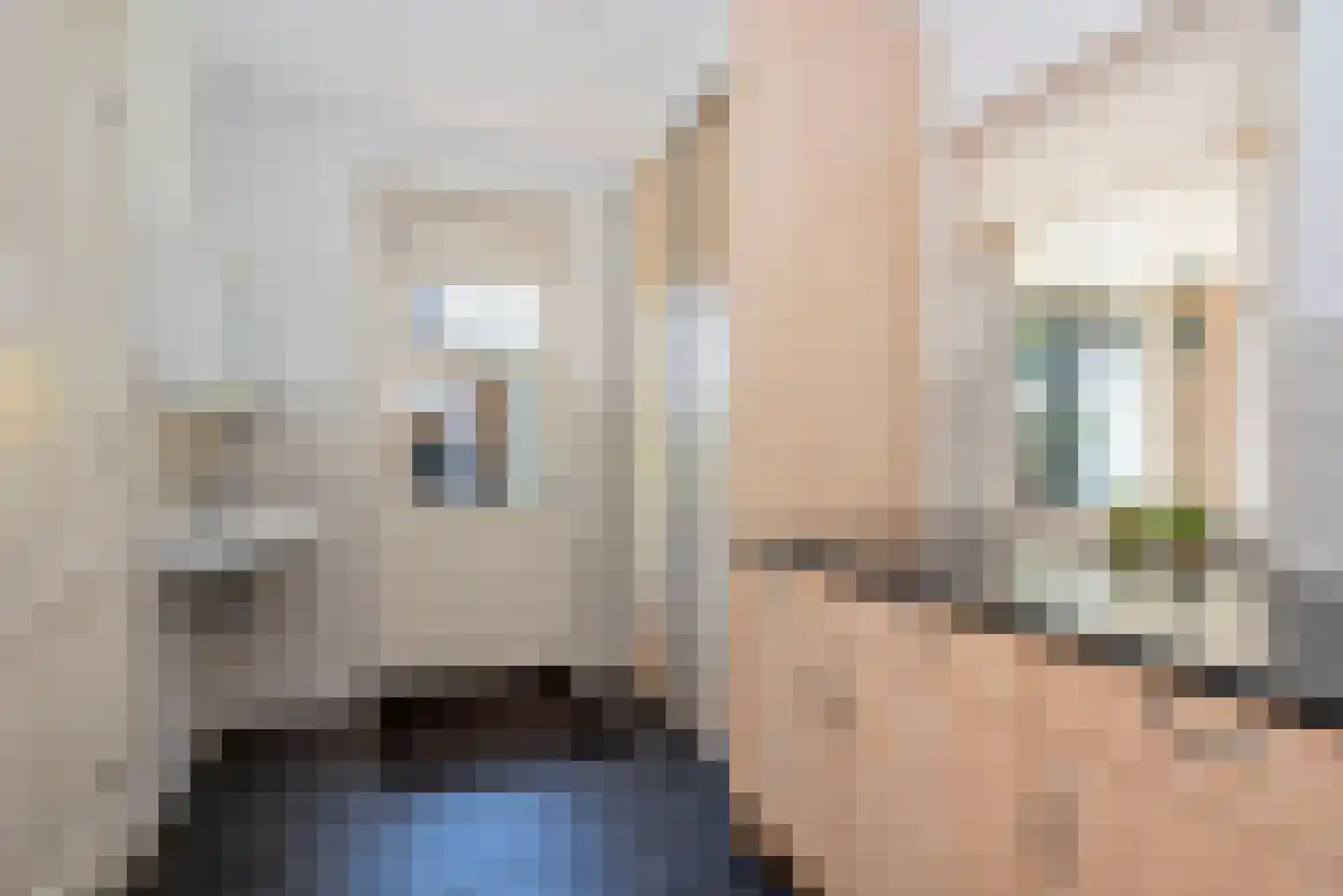 De Klomp 4 Hengevelde thumbnail 20