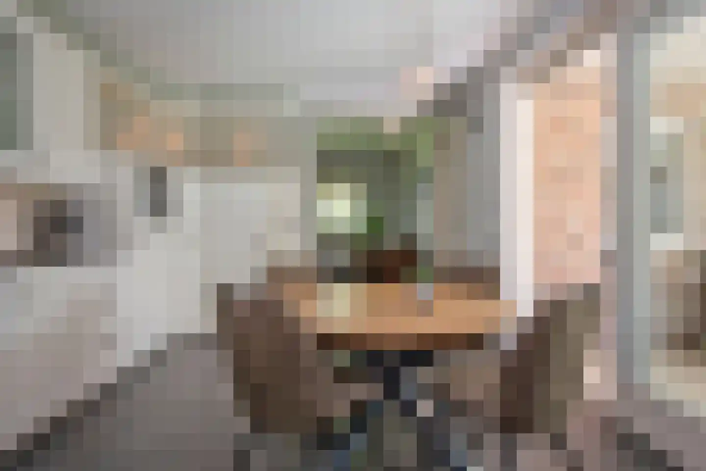 De Klomp 4 Hengevelde thumbnail 22