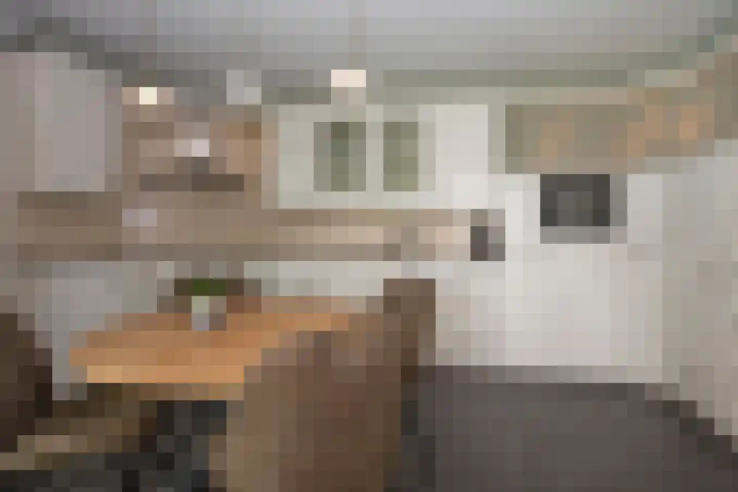 De Klomp 4 Hengevelde thumbnail 26