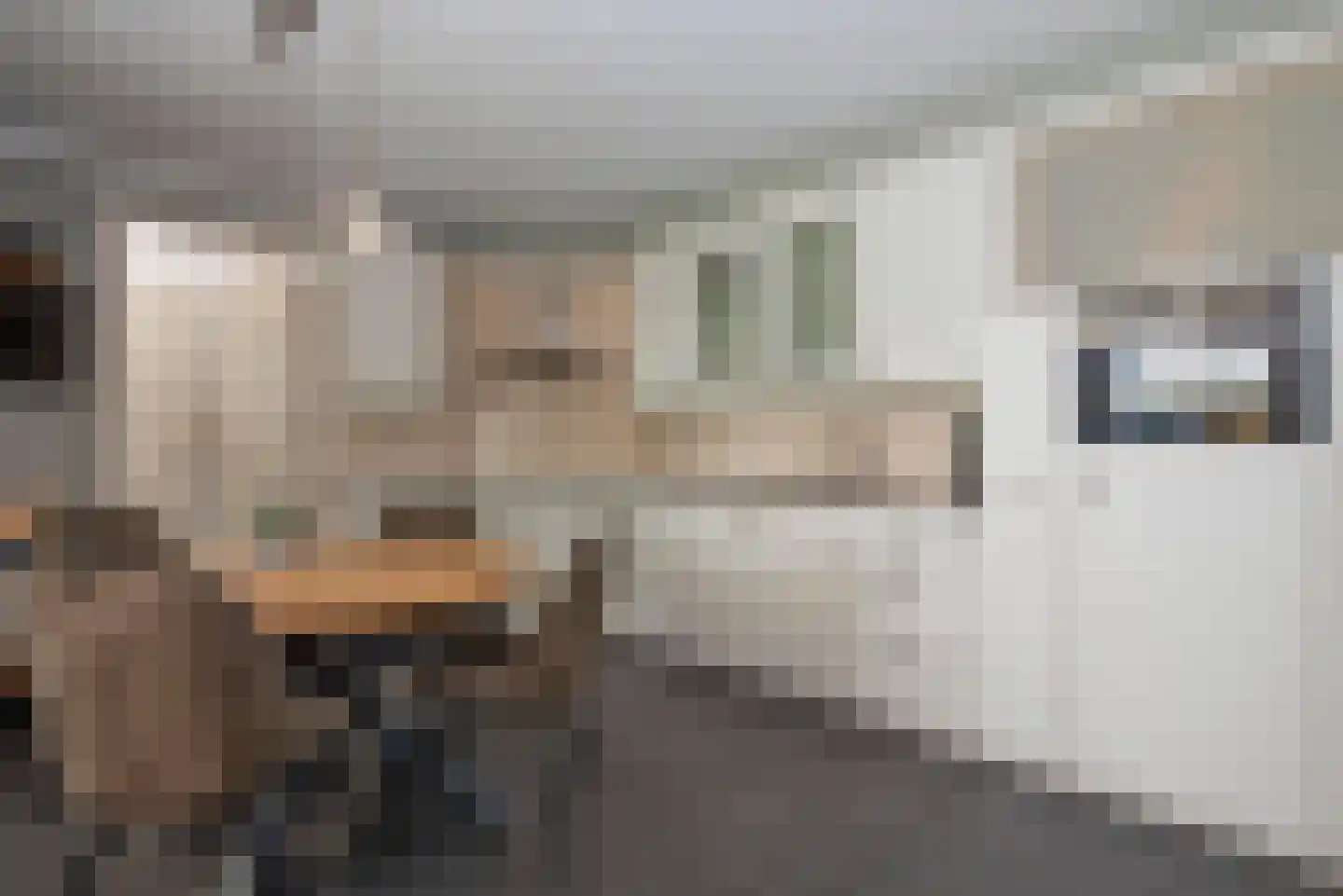 De Klomp 4 Hengevelde thumbnail 28