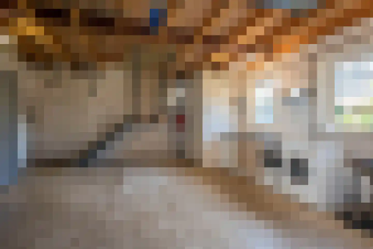 De Klomp 4 Hengevelde thumbnail 49