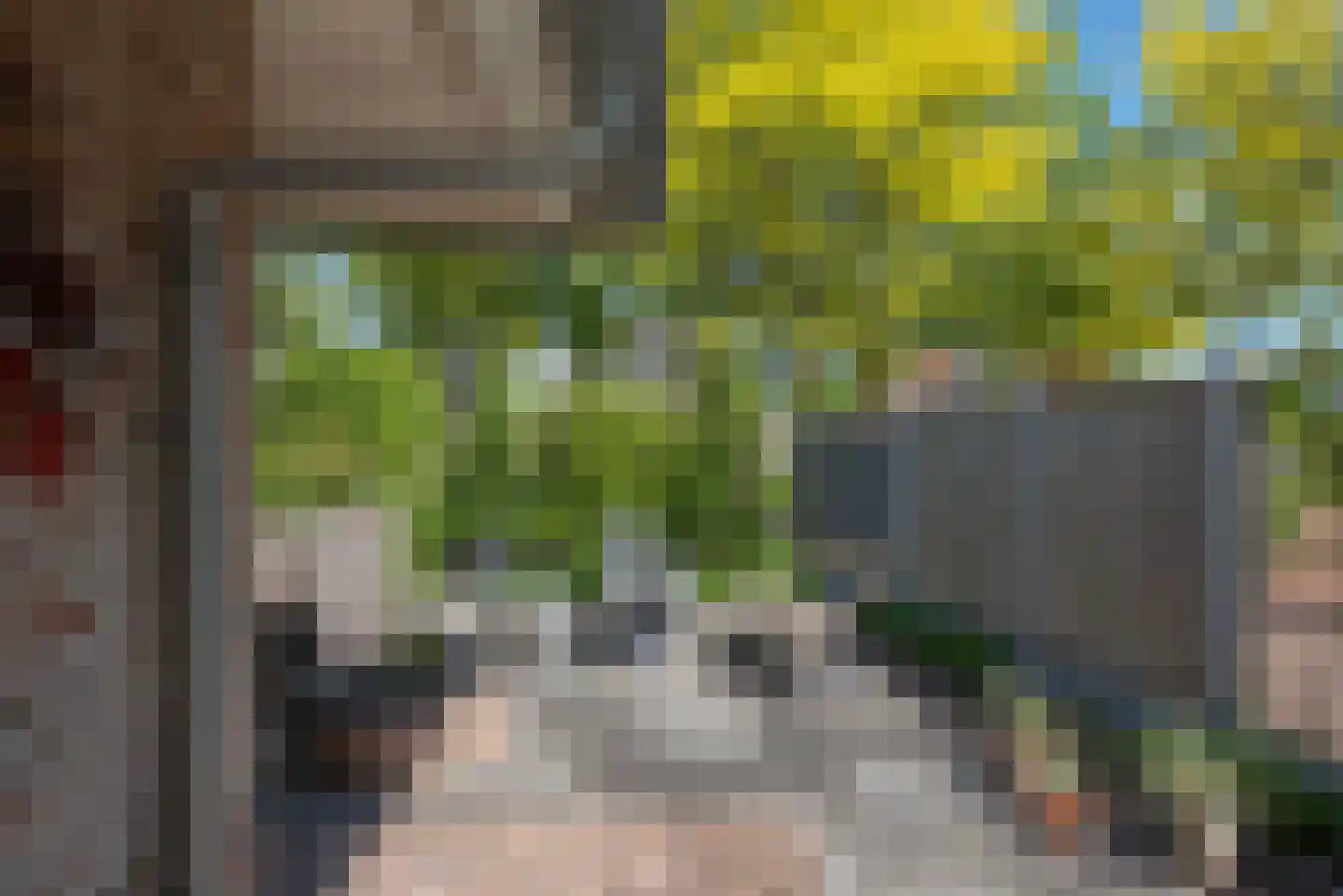 De Klomp 4 Hengevelde thumbnail 52