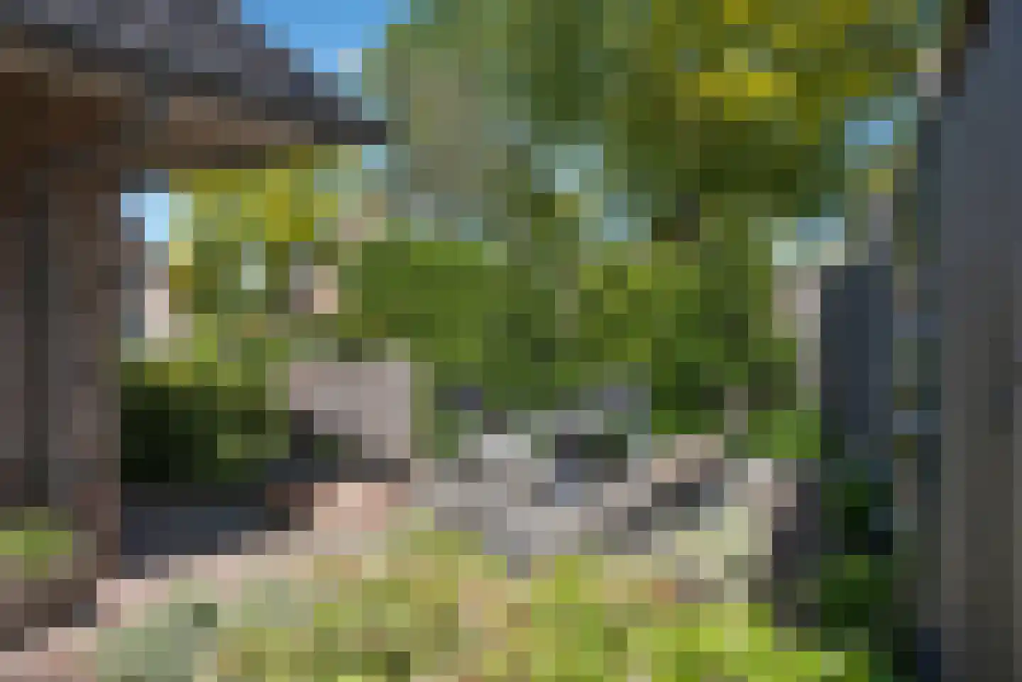 De Klomp 4 Hengevelde thumbnail 53