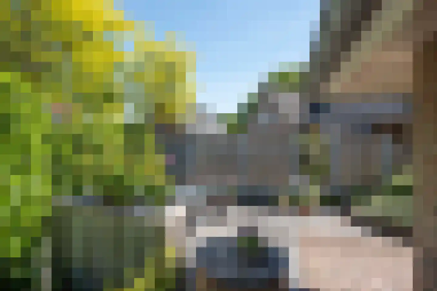De Klomp 4 Hengevelde thumbnail 54