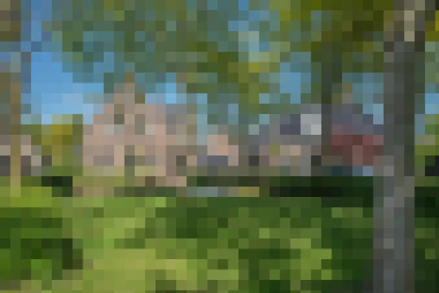 De Klomp 4 Hengevelde thumbnail 60