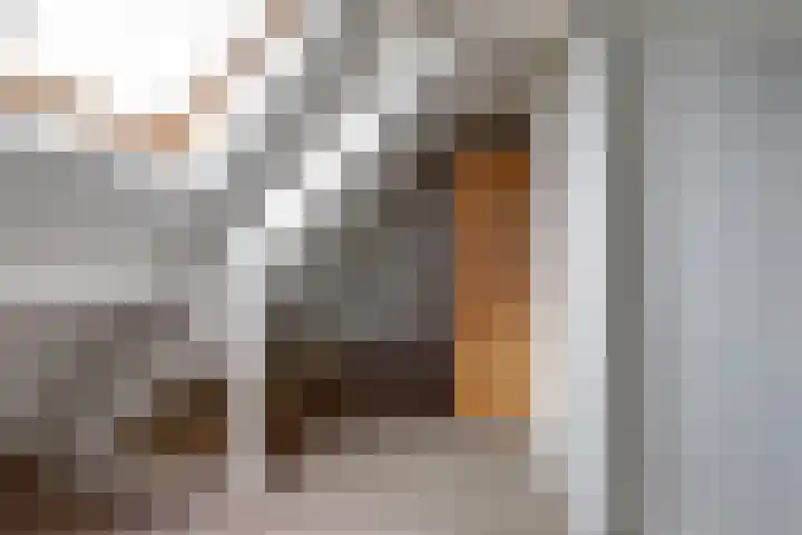 De Klomp 5 's-Heerenberg thumbnail 33