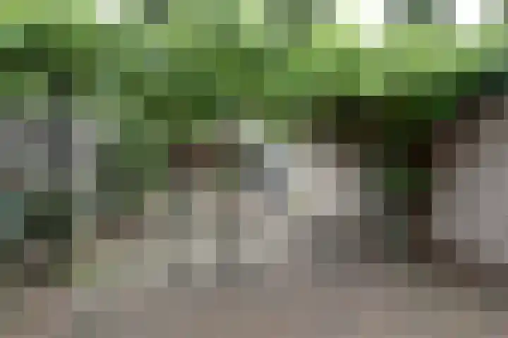 De Klomp 5 's-Heerenberg thumbnail 5