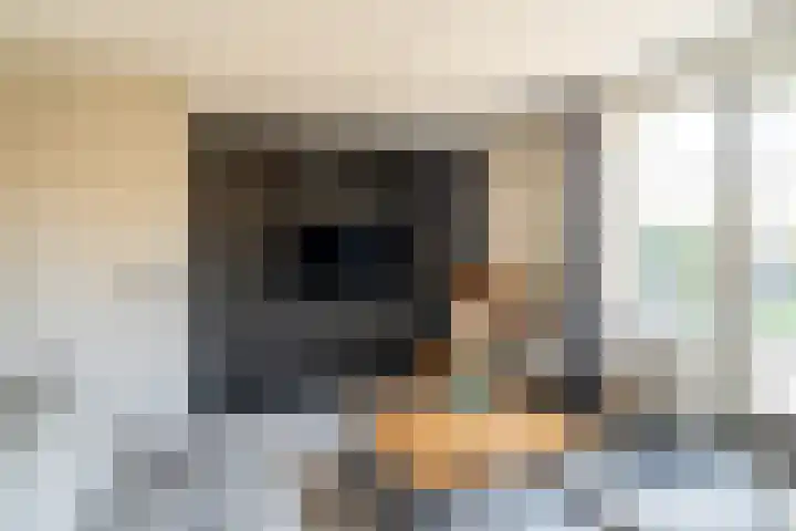 De Klompenmaker 12 Rijswijk (NB) thumbnail 11
