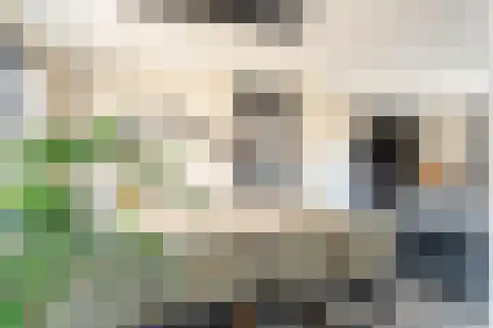 De Klompenmaker 12 Rijswijk (NB) thumbnail 13