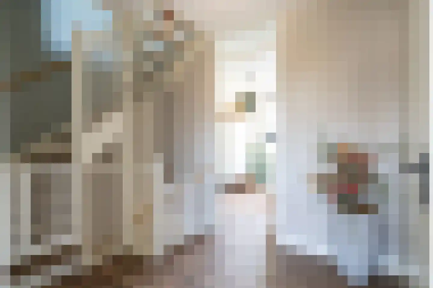 De Klompenmaker 12 Rijswijk (NB) thumbnail 19