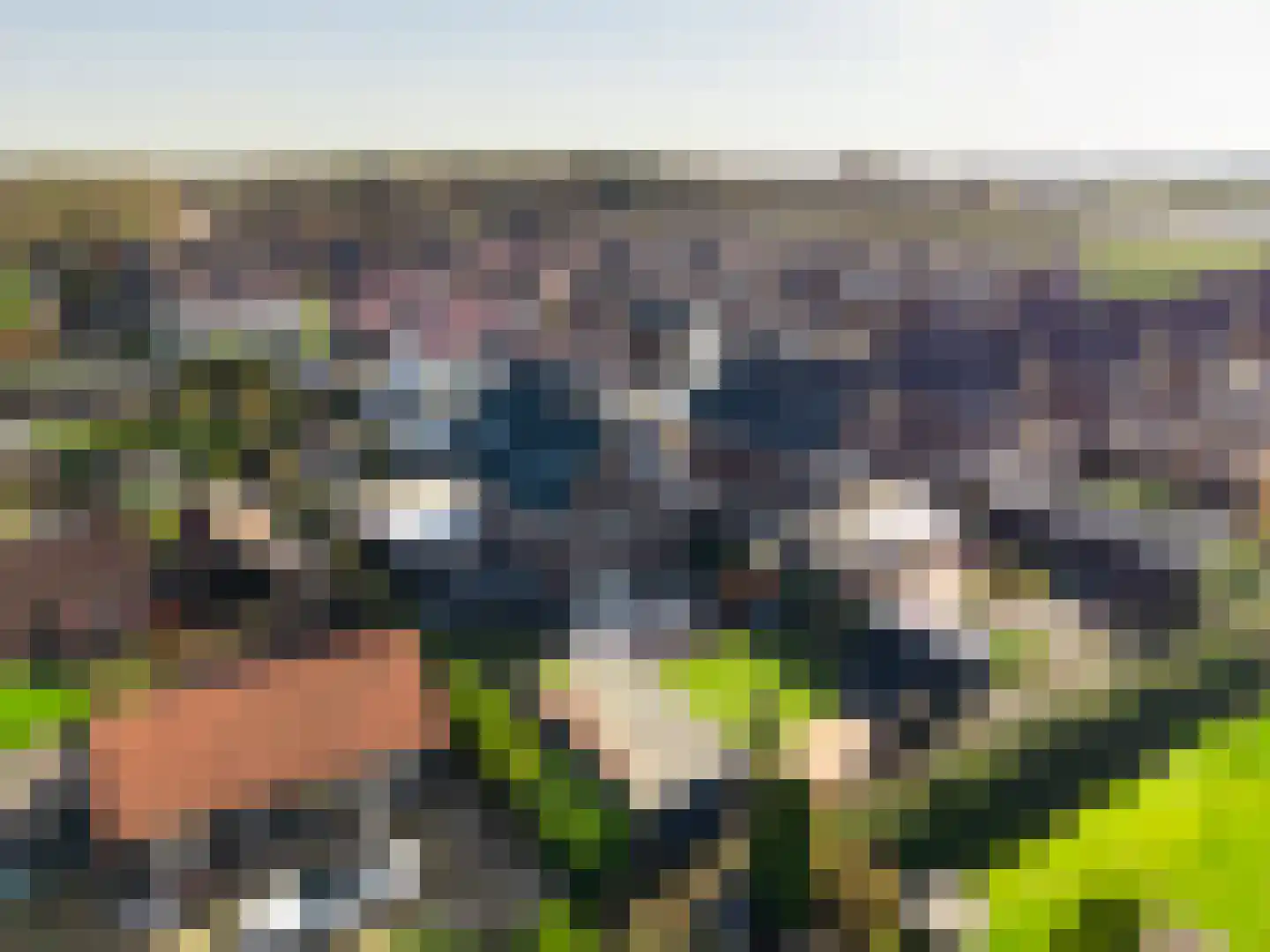 De Klompenmaker 12 Rijswijk (NB) thumbnail 35