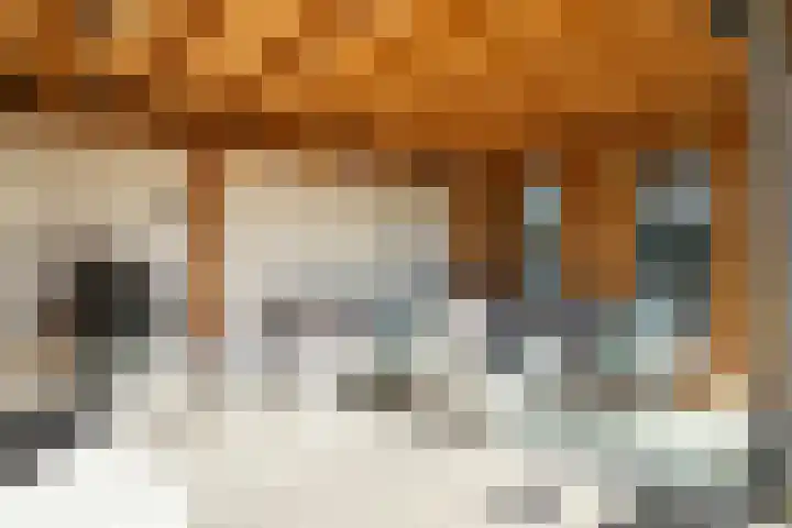 De Klompenmaker 12 Rijswijk (NB) thumbnail 39
