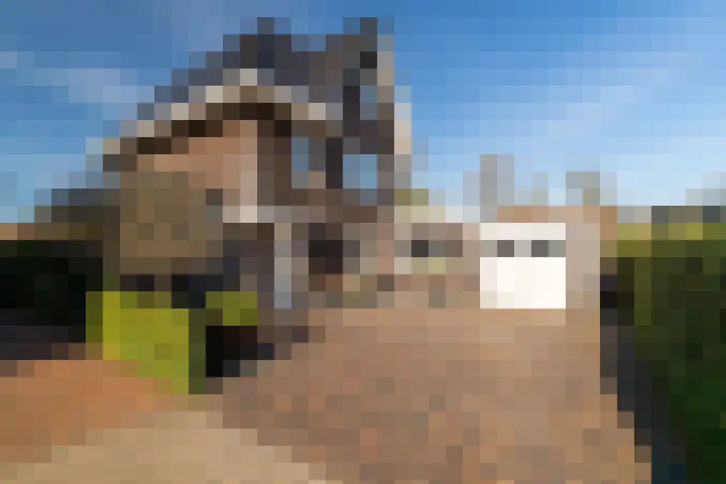De Klompenmaker 12 Rijswijk (NB) thumbnail 4