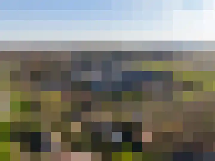 De Klompenmaker 12 Rijswijk (NB) thumbnail 42