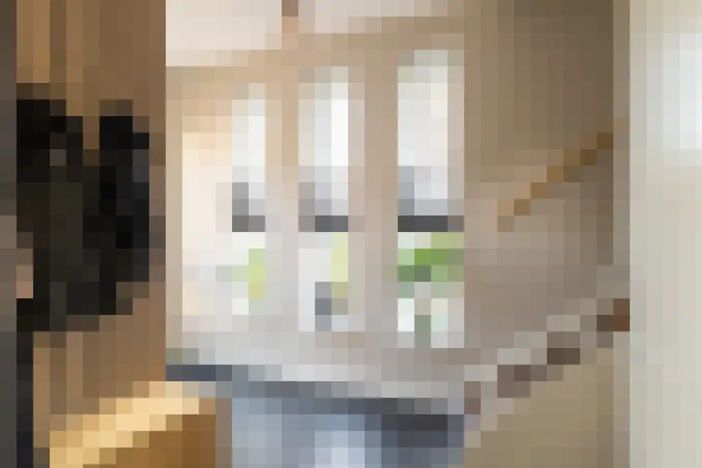 De Klompenmaker 12 Rijswijk (NB) thumbnail 7