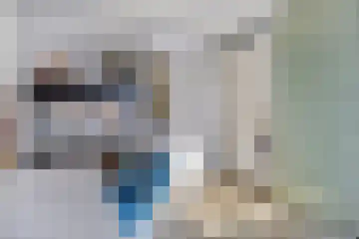 De Klompenmaker 15 Rijswijk (NB) thumbnail 21