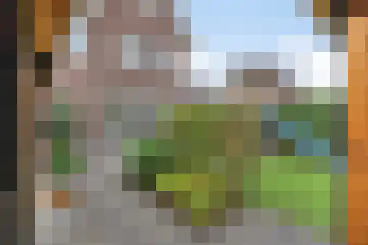 De Klompenmaker 15 Rijswijk (NB) thumbnail 32