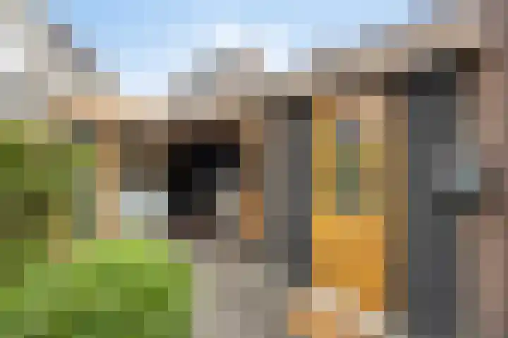 De Klompenmaker 15 Rijswijk (NB) thumbnail 34