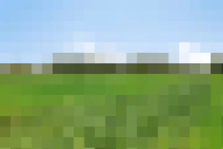 De Klompenmaker 15 Rijswijk (NB) thumbnail 39