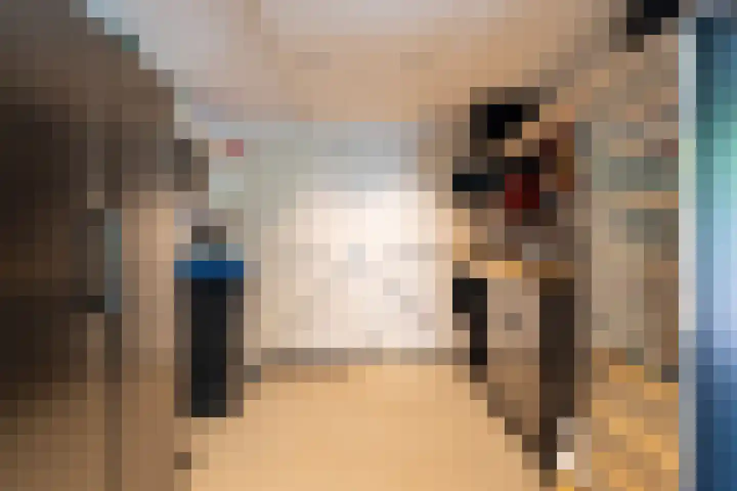 De Klompenmaker 23 Rijswijk (NB) thumbnail 18