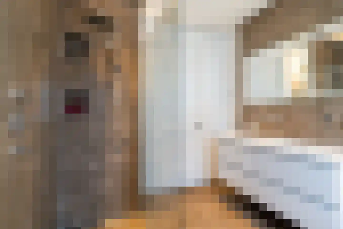 De Klompenmaker 23 Rijswijk (NB) thumbnail 28